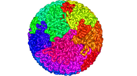 DNA-packs-itself-tightly-into-a-structure-known-as-a-fractal-globule